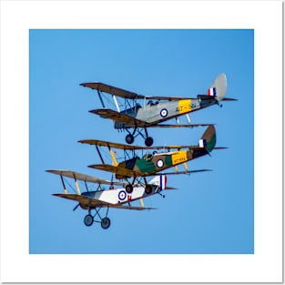 Tiger Moths Posters and Art